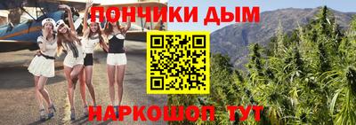 спиды Бийск