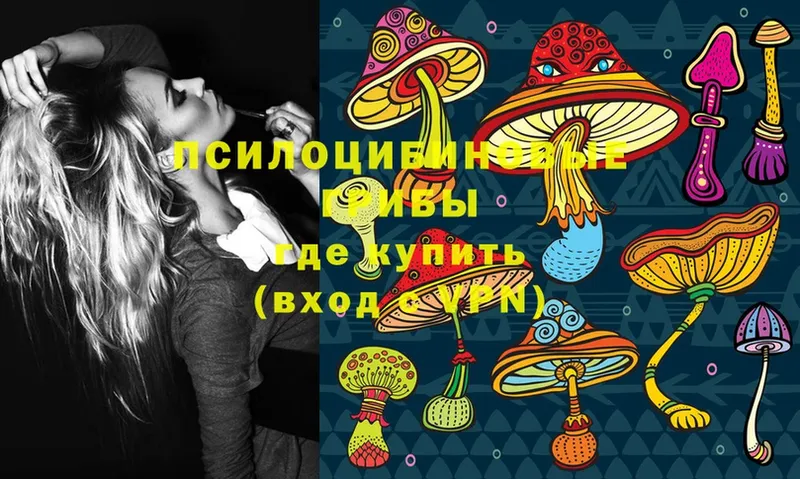 где продают   Саратов  Галлюциногенные грибы Magic Shrooms 