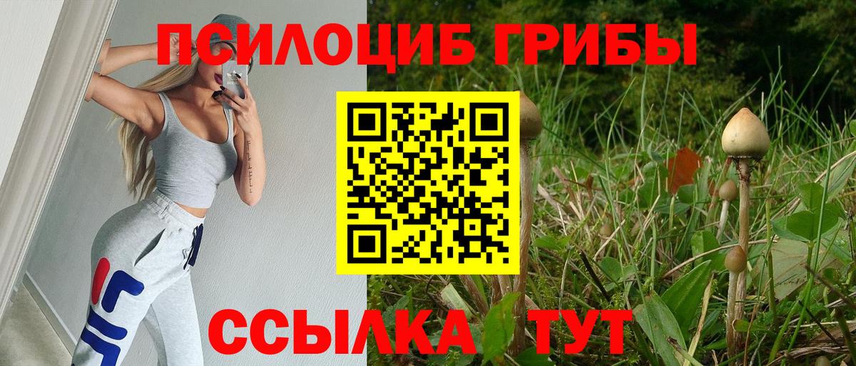 Галлюциногенные грибы MAGIC MUSHROOMS Саратов